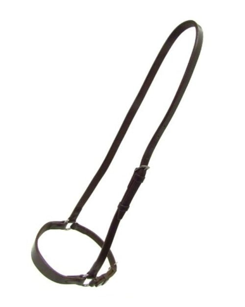DROPPED NOSEBAND