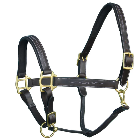 Fancy Stitched Leather Halter - Brass Hardware