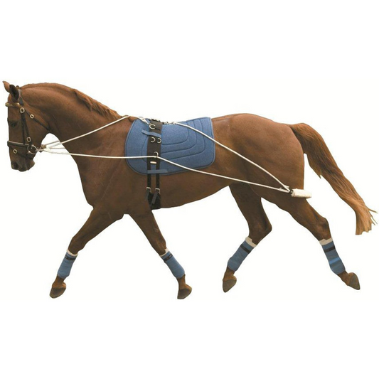 Lunging Training System based on PESSOA Training Aid