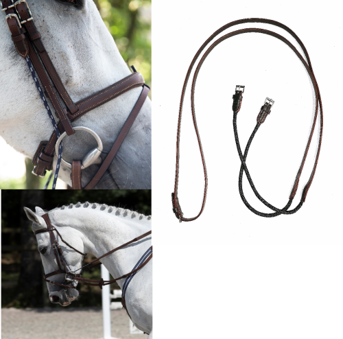 Gag Reins