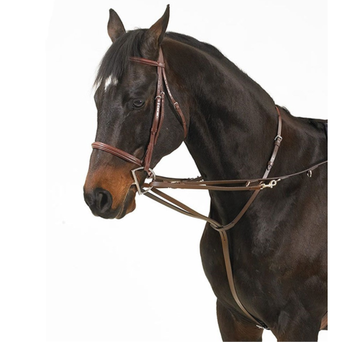 German Martingale Rein