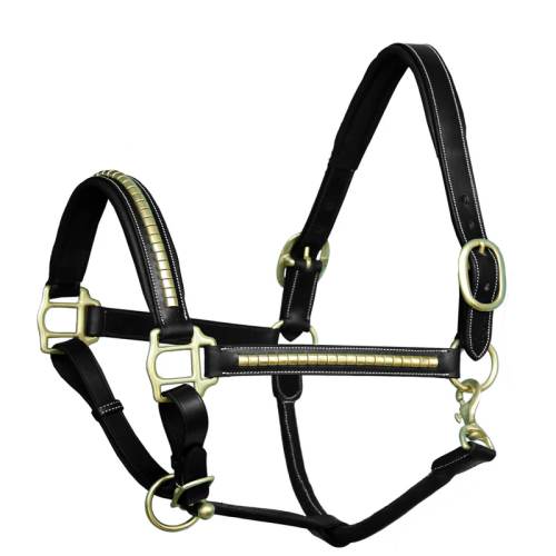 Clincher Leather Halter - Brass Hardware