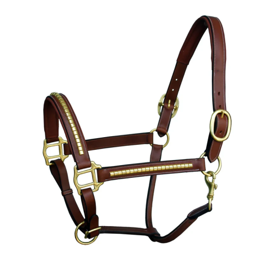 Clincher Leather Halter - Brass Hardware