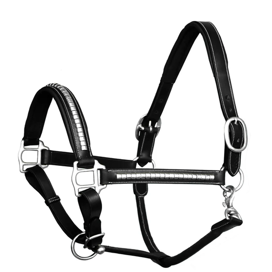 Clincher Leather Halter - Brass Nickel Hardware