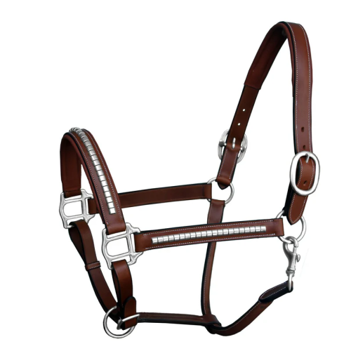 Clincher Leather Halter - Brass Nickel Hardware
