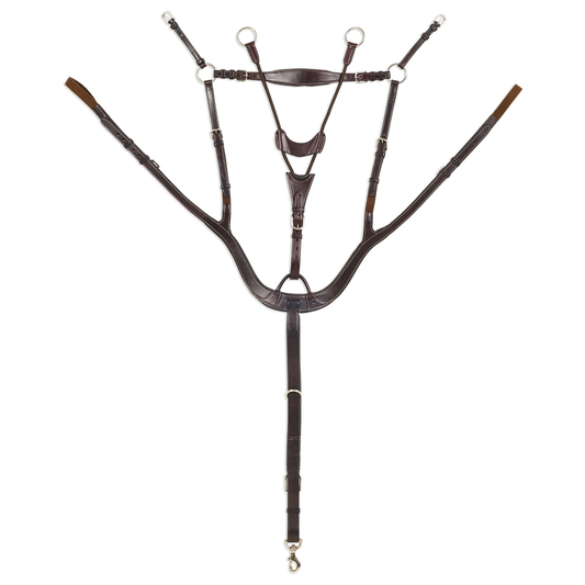 Pessoa. Pro 5-Point Breastplate