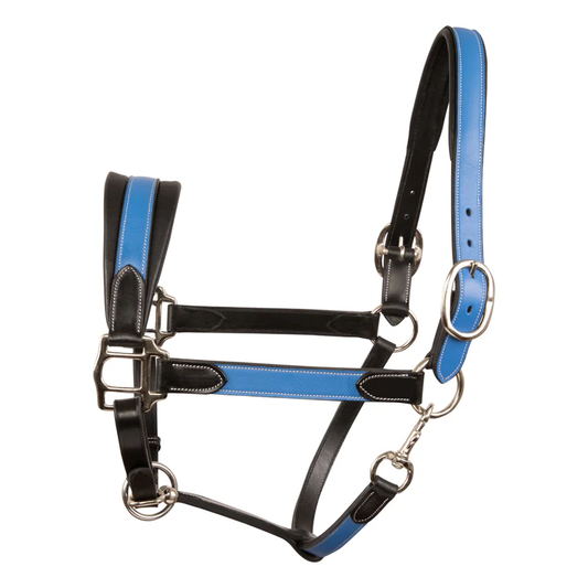 Duo-Tone Leather Halter - Blue