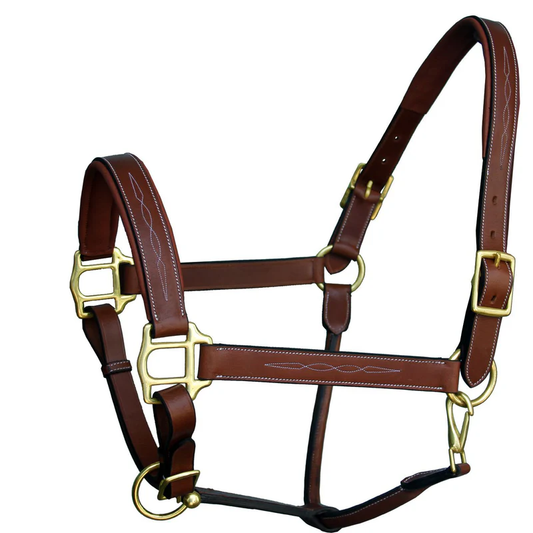 Fancy Stitched Leather Halter - Brass Hardware