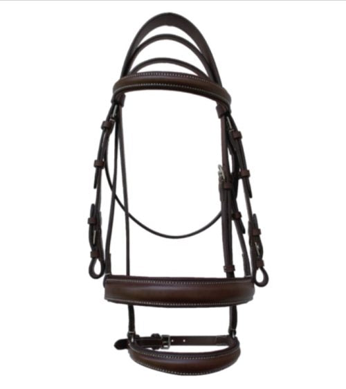 COMPLETE GAG BRIDLE