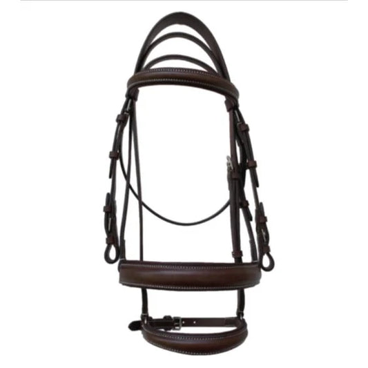 COMPLETE GAG BRIDLE